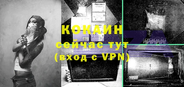 mdpv Сосновоборск