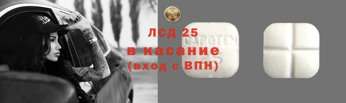 PSILOCYBIN Беломорск